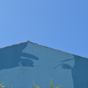 Foto mural Rosalia, 6 de 9