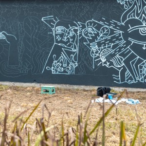 Mural Razo - Derrubando Muros 2019